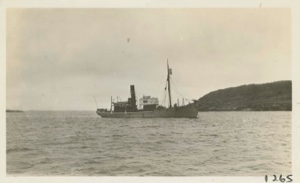 Image: Whaling Steamer